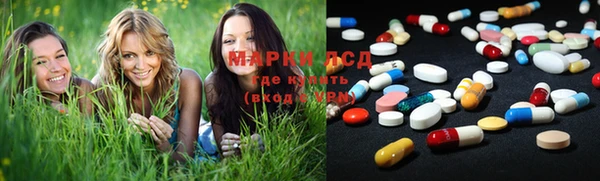 ешки Алзамай