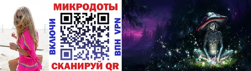 Псилоцибиновые грибы Psilocybe  как найти   Нижний Ломов 